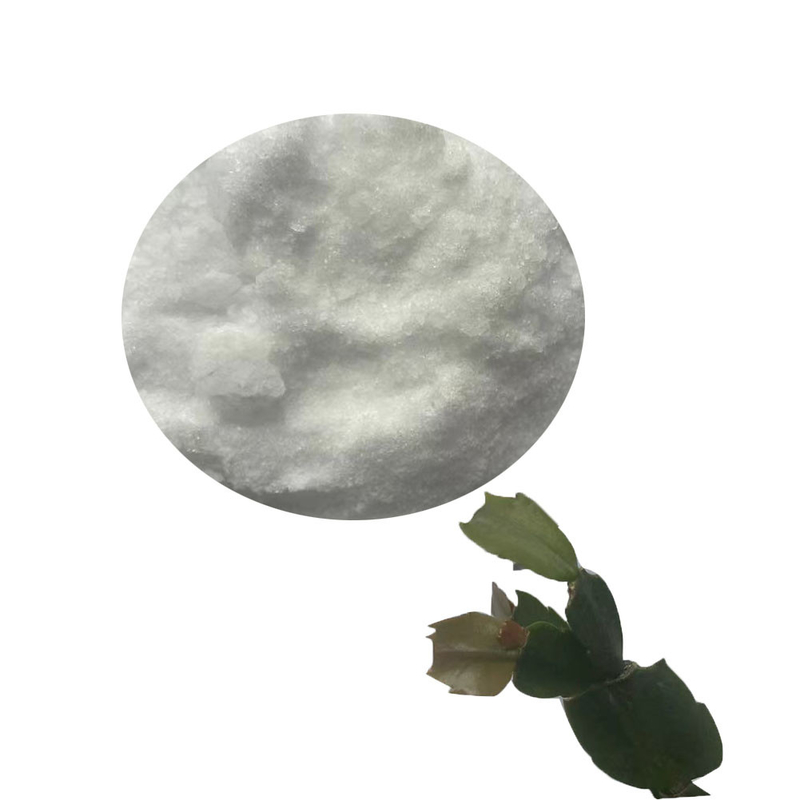 Para Dichlorobenzene Pesticide Intermediates 1,4-Dichlorobenzene CAS 106-46-7